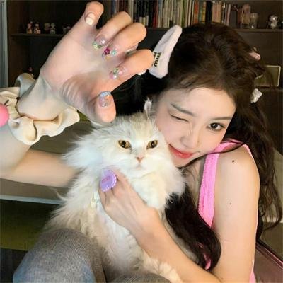 中秋明月照团圆